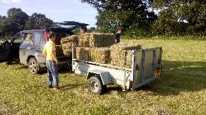 Some haybales loaded into a small trailer.